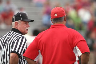 AYX体育-意甲裁判语义分析辅助判罚准确性的应用探讨，意甲 裁判