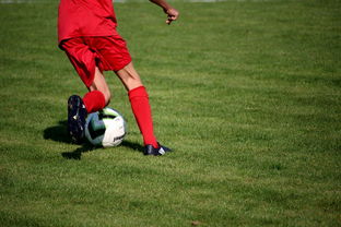 AYX SPORTS-篮球运动员心理健康服务体系研究，篮球运动员心理健康服务体系研究论文